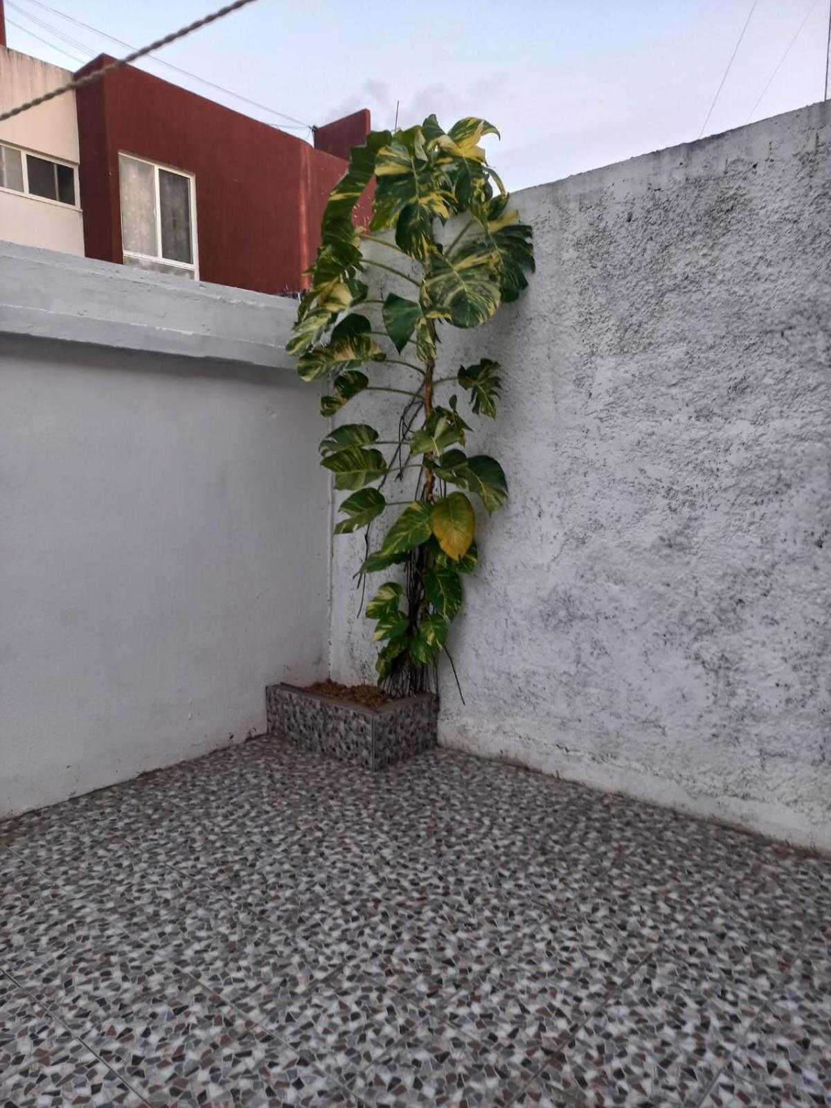 Privadas Turquesa, Nombre Del Alojamiento "Casa Niza Cancun" Exterior foto